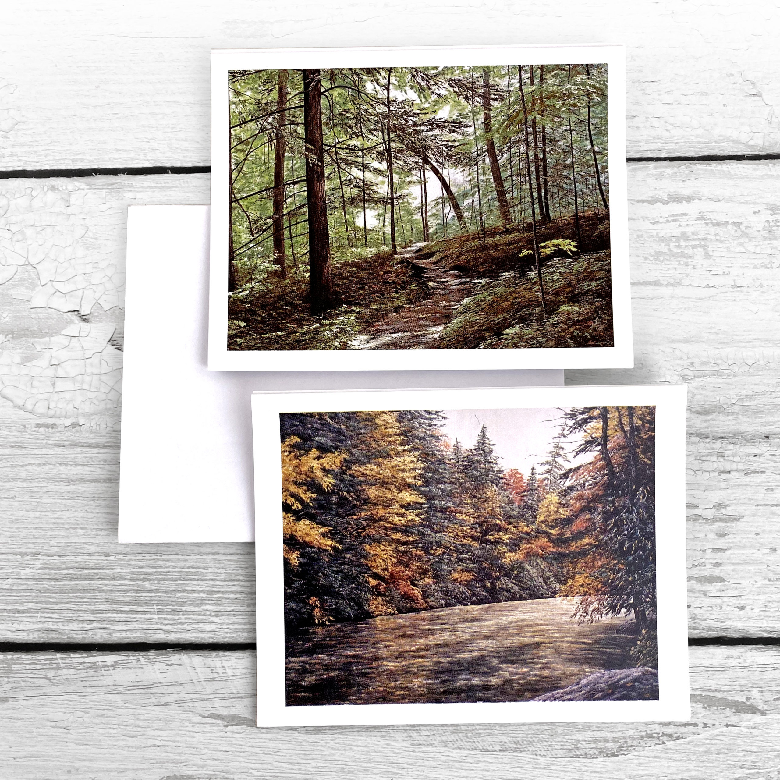 Light In The Forest And Highlands In Autumn Card Set - BrainVessel Gallery